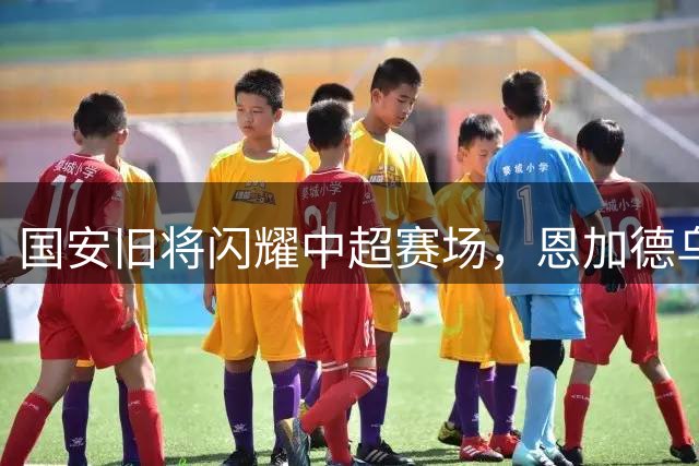 国安旧将闪耀中超赛场，恩加德乌马马杜稳坐主力